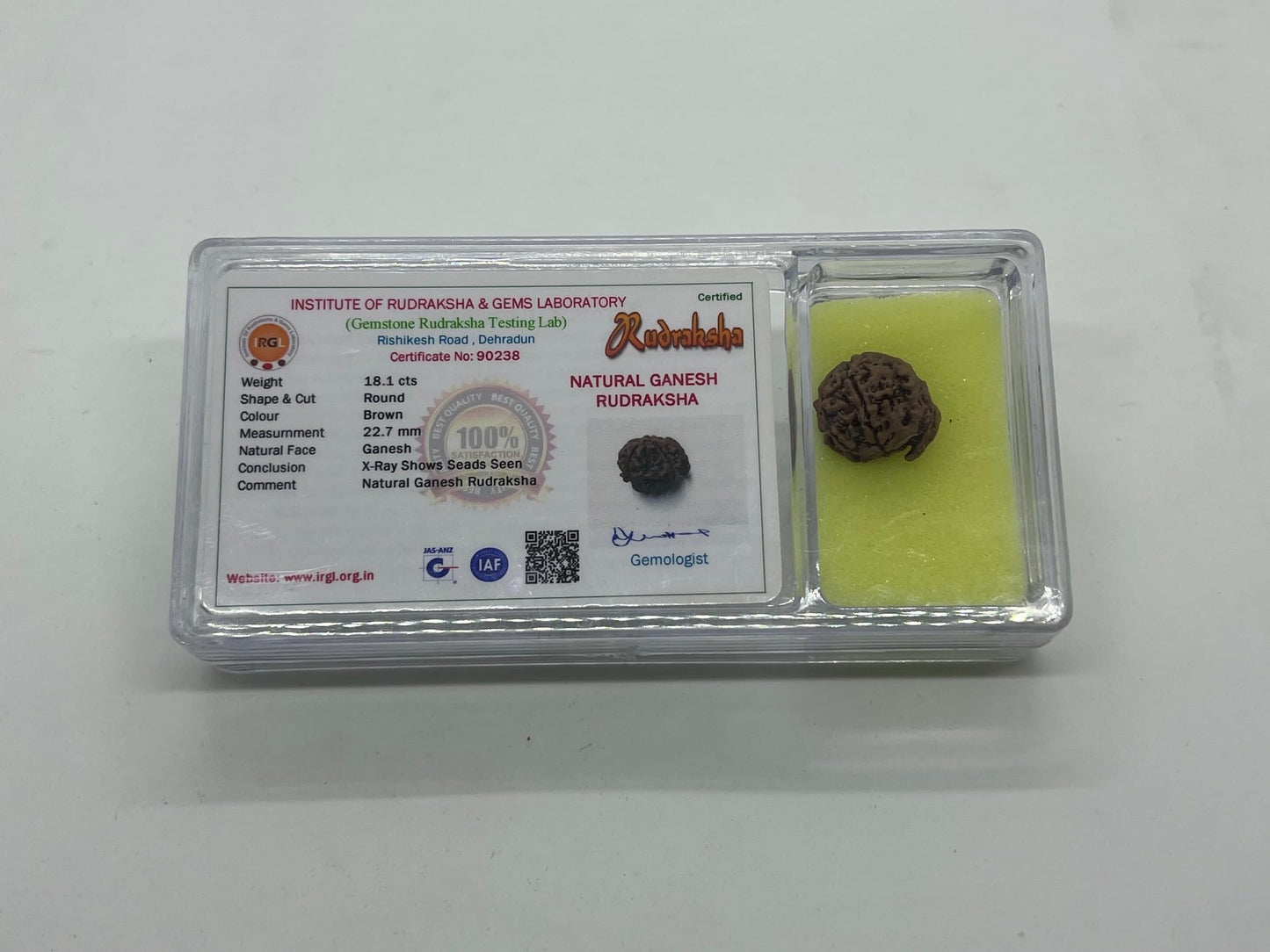 Divine Blessings Await – Certified Ganesha Rudraksha Bead - Universal Sun Sign - Root Chakra