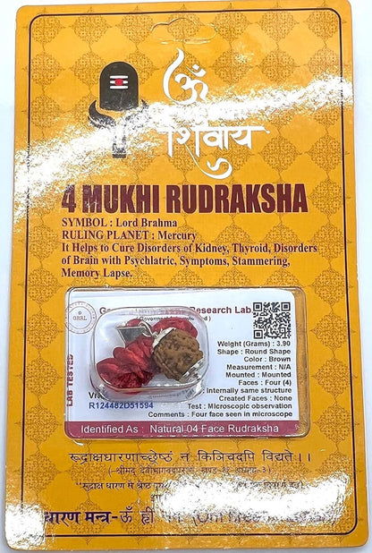 Embrace Stability & Grounding: Handmade Certified 4 Mukhi Rudraksha Pendant Necklace - Root Chakra Harmony