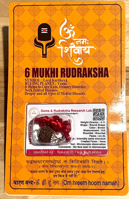 Embrace Harmony & Overcoming Challenges: Handmade Certified 6 Mukhi Rudraksha Pendant Necklace - Virgo Birthstone - Third Eye Chakra Alignment