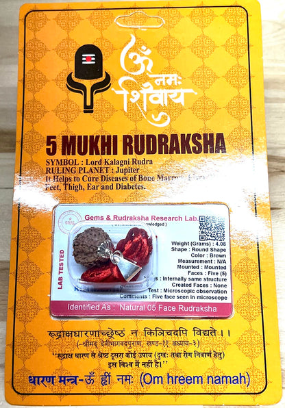 Embrace Balance & Clarity: Certified 5 Mukhi Rudraksha Pendant Necklace - Taurus & Libra Birthstone - Throat Chakra Alignment