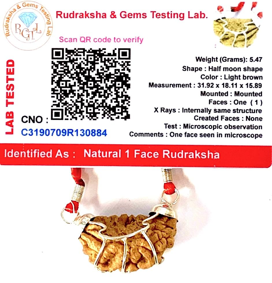 Certified 1 Mukhi Rudraksha (One Face) Rudraksh Bead Pendant Necklace – Peace, Success, Harmony, Power, Fame