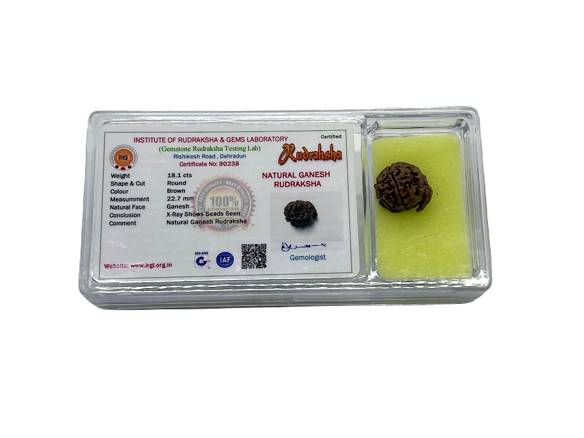 Divine Blessings Await – Certified Ganesha Rudraksha Bead - Universal Sun Sign - Root Chakra