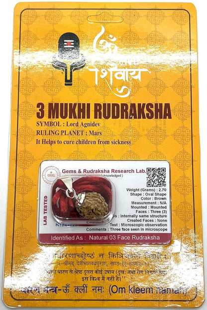 Embrace Creativity & Positivity: Handmade Certified 3 Mukhi Rudraksha Pendant Necklace - Cancer Birthstone - Solar Plexus & Sacral Chakra Alignment