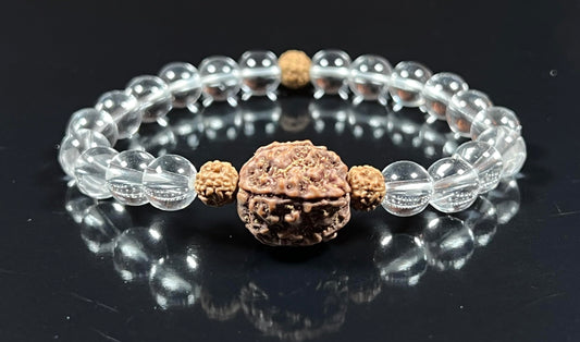 5 Mukhi Rudraksha Rudraksh and Crystal Quartz Stretch Bracelet, Spiritual Healing Jewelry
