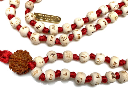 Tulsi mala Beads Holy Basil Japa mala Ram mala w/ 5 Mukhi Rudrakha 5 Face Rudraksh 108 Prayer Beads Energized for Chanting Mantra 7 Chakra mala in Red Blue Teal Colors w/Pouch (RED)