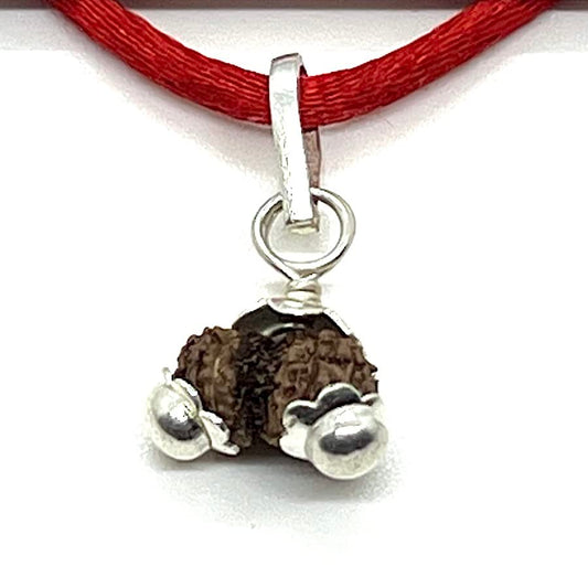 Unveiling Harmony & Balance: Handmade Certified Gauri Shankar Rudraksha Pendant Necklace