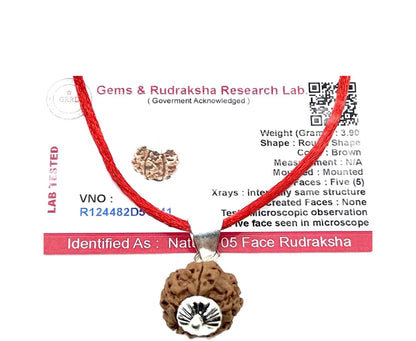Embrace Balance & Clarity: Certified 5 Mukhi Rudraksha Pendant Necklace - Taurus & Libra Birthstone - Throat Chakra Alignment
