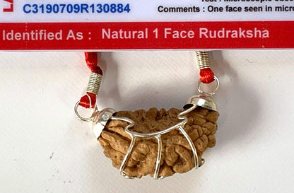 Certified 1 Mukhi Rudraksha (One Face) Rudraksh Bead Pendant Necklace – Peace, Success, Harmony, Power, Fame