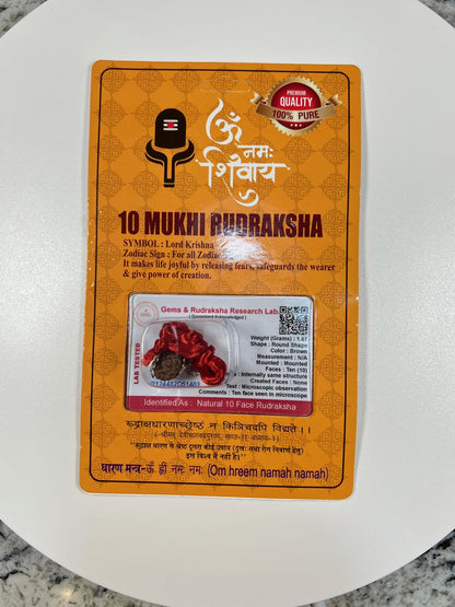 Certified 10 Mukhi Rudraksha Pendant Necklace (Ten Faces) - Embrace Strength & Harmony - Capricorn & Aquarius Birthstone - Solar Plexus Power