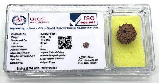 AwakenYourKundalini's Natural Rudraksha Beads (1,2,3,4,5,6,7,8,9,10,11,12,13,14 Faced) Original Rudraksha Beads Himalayan Origin Nepal Collections - Lab Certified - (9 Mukhi Faced)
