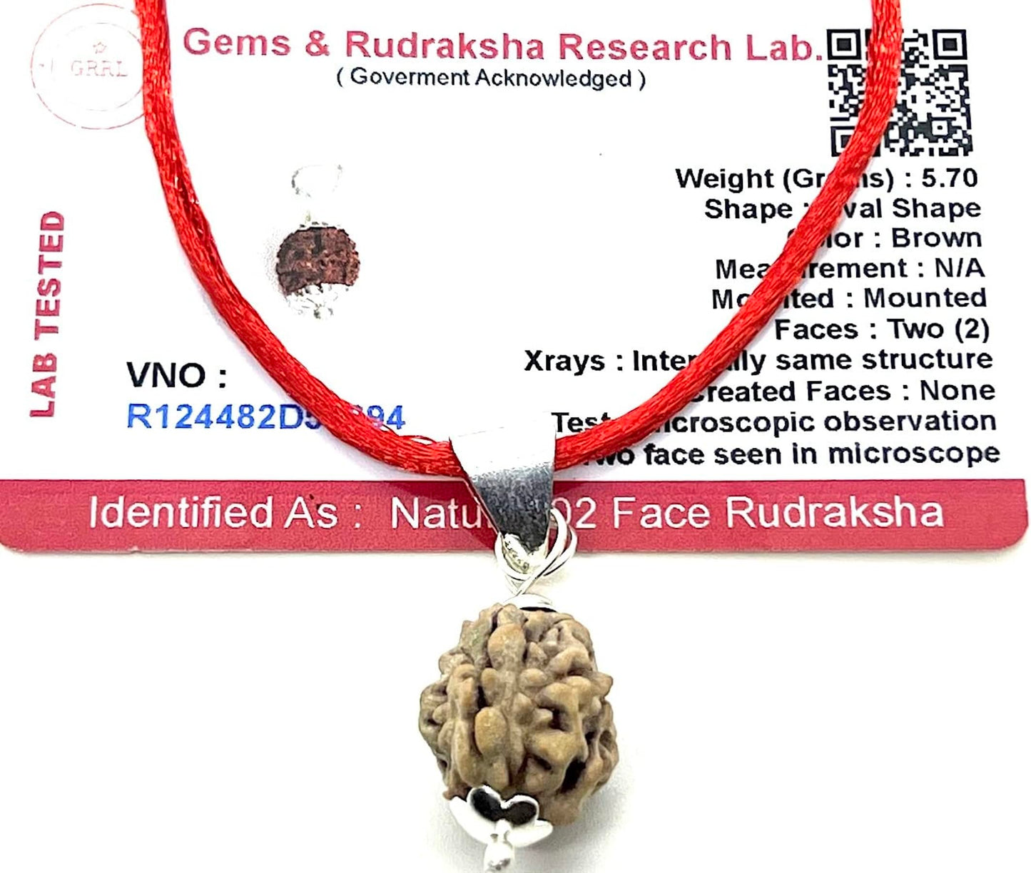 Certified 2 Mukhi Rudraksha Pendant Necklace (Two Faces) - Embrace Balance & Partnership