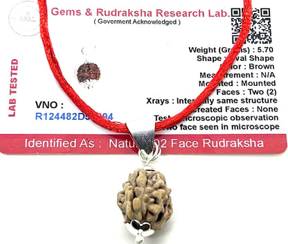 Certified 2 Mukhi Rudraksha Pendant Necklace (Two Faces) - Embrace Balance & Partnership