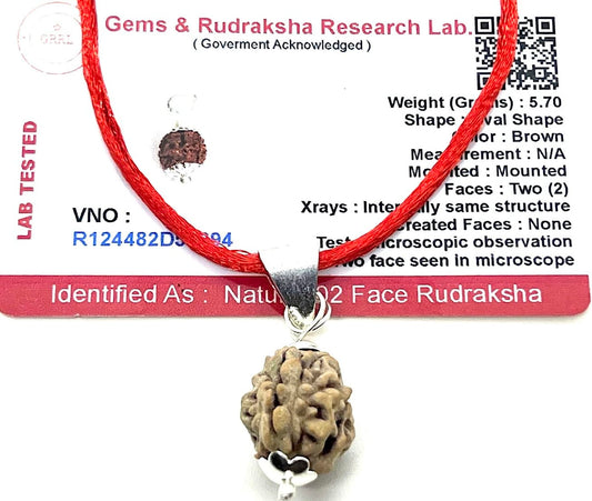 Certified 2 Mukhi Rudraksha Pendant Necklace (Two Faces) - Embrace Balance & Partnership