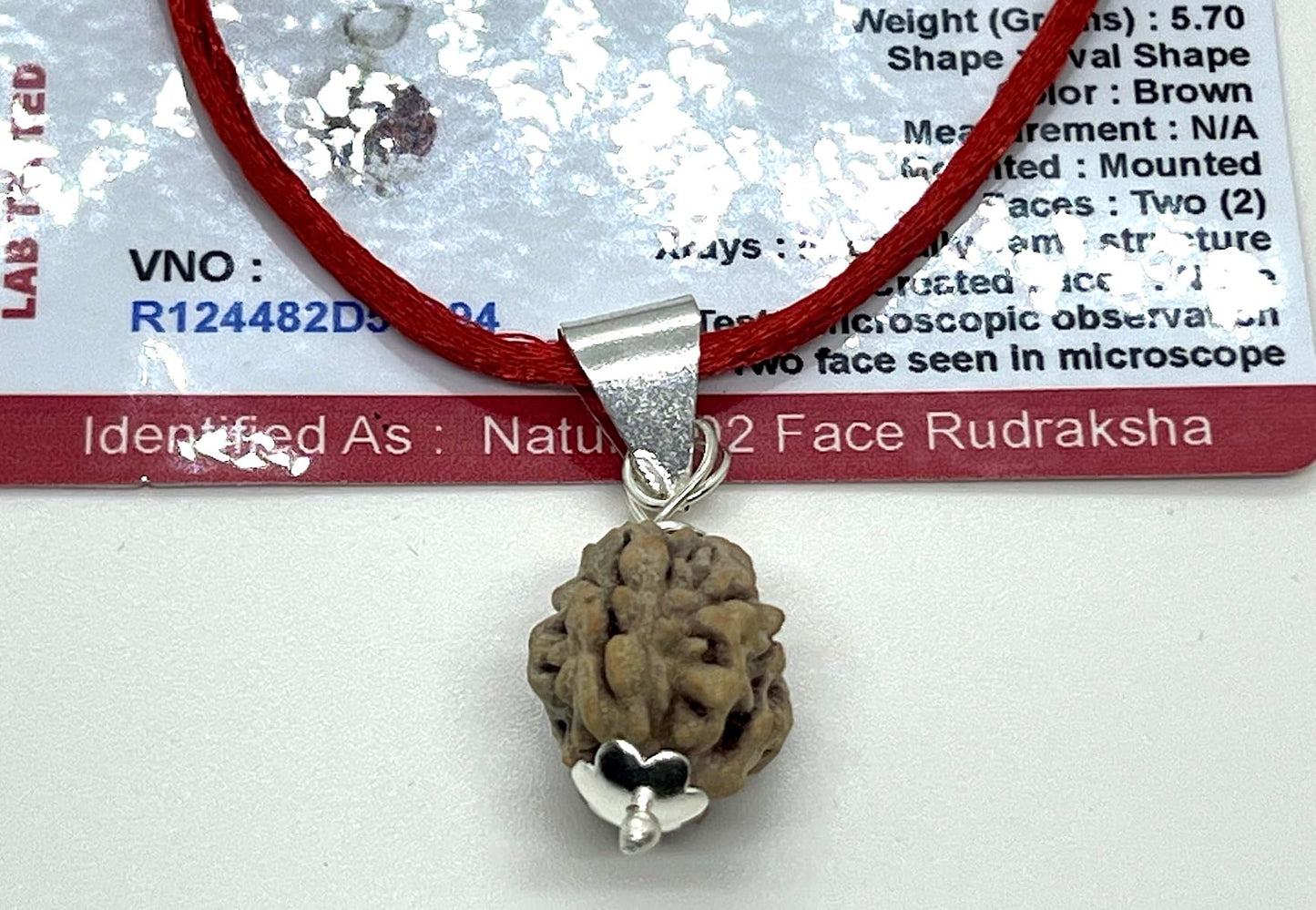 Certified 2 Mukhi Rudraksha Pendant Necklace (Two Faces) - Embrace Balance & Partnership