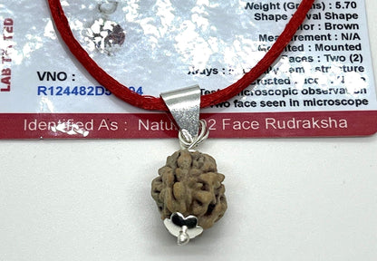 Certified 2 Mukhi Rudraksha Pendant Necklace (Two Faces) - Embrace Balance & Partnership
