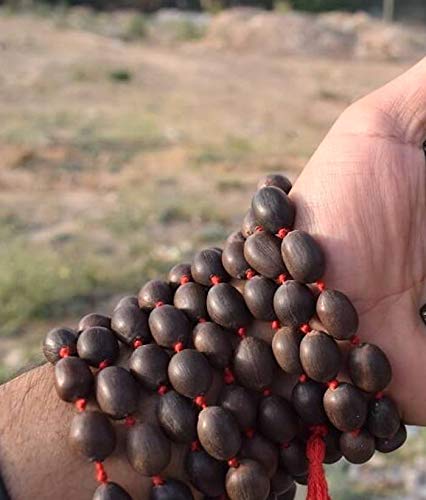 Kamalgatta Mala Kamal Gatta Beaded Necklace - Digestive & Respiratory Health Benefits, Root Chakra Balancing, Inner Peace Harmony