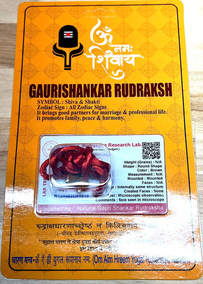 Unveiling Harmony & Balance: Handmade Certified Gauri Shankar Rudraksha Pendant Necklace