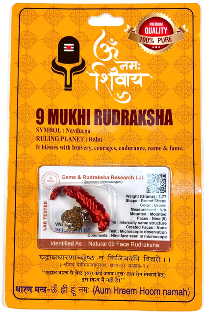 Certified 9 Mukhi Rudraksha Pendant Necklace (Nine Faces) - Embrace Harmony & Enlightenment