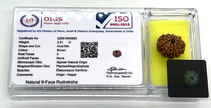 AwakenYourKundalini's Natural Rudraksha Beads (1,2,3,4,5,6,7,8,9,10,11,12,13,14 Faced) Original Rudraksha Beads Himalayan Origin Nepal Collections - Lab Certified - (9 Mukhi Faced)