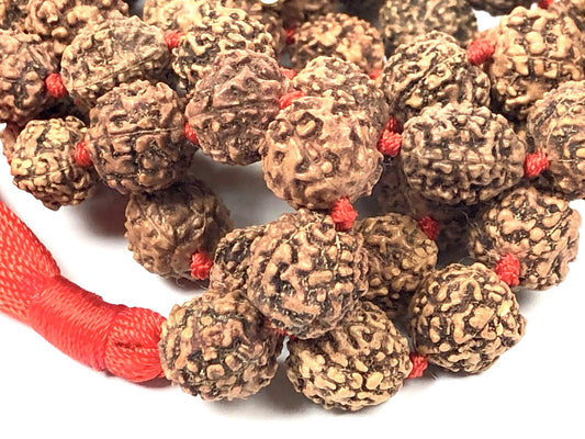 Hand Knotted 5 Mukhi Rudraksha Half Mala (54+1 Beads) - 12mm Bead Size - Sagittarius Sun Sign - Heart Chakra