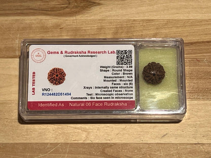 Certified 6 Mukhi Rudraksha Bead, Six Faces Rudraksh, Libra Sun Sign, Sacral Chakra