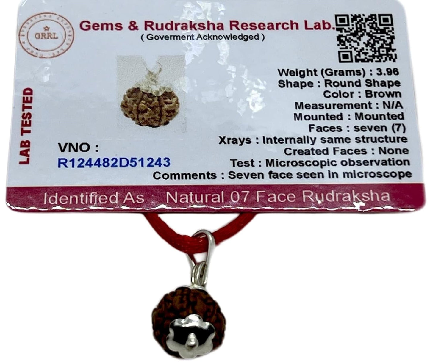 Embrace Inner Strength & Wisdom - Handmade Certified 7 Mukhi Rudraksha Pendant Necklace - Crown Chakra Alignment