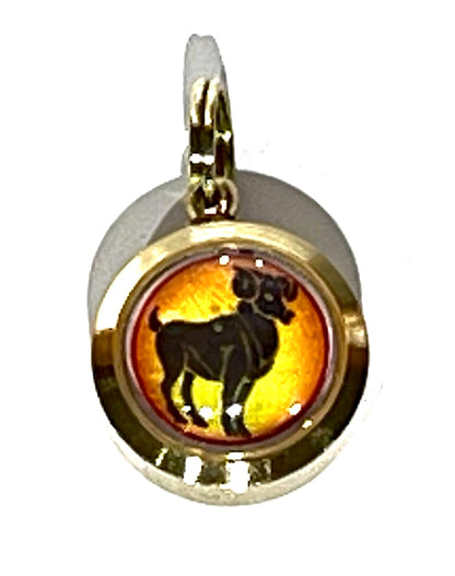 Zodiac Constellation Pendant Necklace - Sun Sign Amulet - Rashi Yantra Pendant - 3/4 Inch Brass Pendant with Zodiac Yantra
