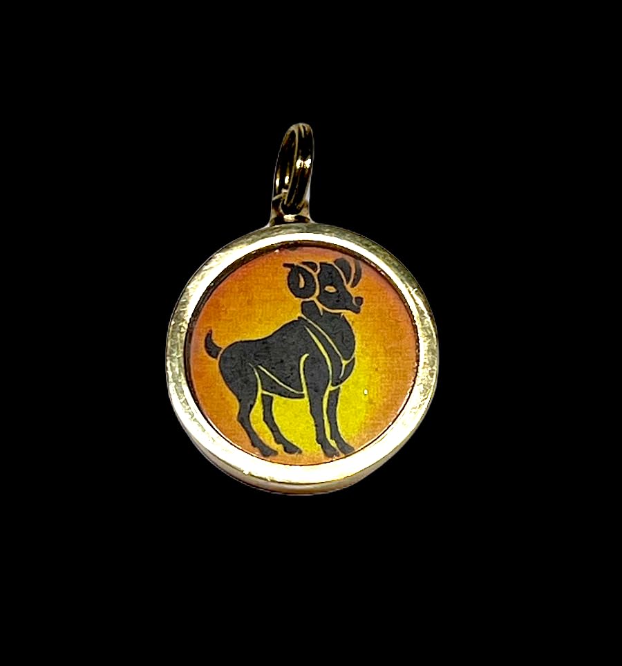 Zodiac Constellation Pendant Necklace - Sun Sign Amulet - Rashi Yantra Pendant - 1 Inch Brass Pendant with Zodiac Yantra