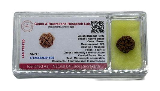 Certified 4 Mukhi (Four Faces) Rudraksha Bead, Real Rudraksh, Throat Chakra, Universal Sun Sign