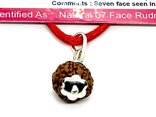Embrace Inner Strength & Wisdom - Handmade Certified 7 Mukhi Rudraksha Pendant Necklace - Crown Chakra Alignment