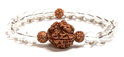 5 Mukhi Rudraksha Rudraksh and Crystal Quartz Stretch Bracelet, Spiritual Healing Jewelry