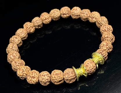 AWAKEN YOUR KUNDALINI Rudraksha Stretch Bracelet - AAA Grade 8mm Chikna Pathri Rudraksh Beads - Cultivate Strength & Stability - Universal Birthstone & Root Chakra Balance
