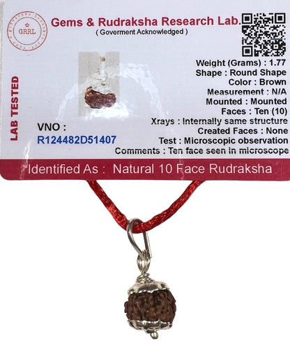 Certified 10 Mukhi Rudraksha Pendant Necklace (Ten Faces) - Embrace Strength & Harmony - Capricorn & Aquarius Birthstone - Solar Plexus Power