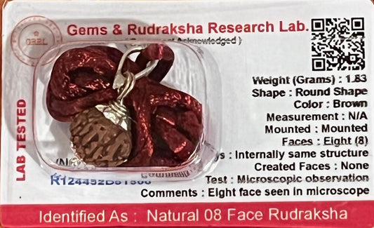 Certified 8 Mukhi Rudraksha Pendant Necklace (Eight Faces) - Embrace Abundance & Prosperity