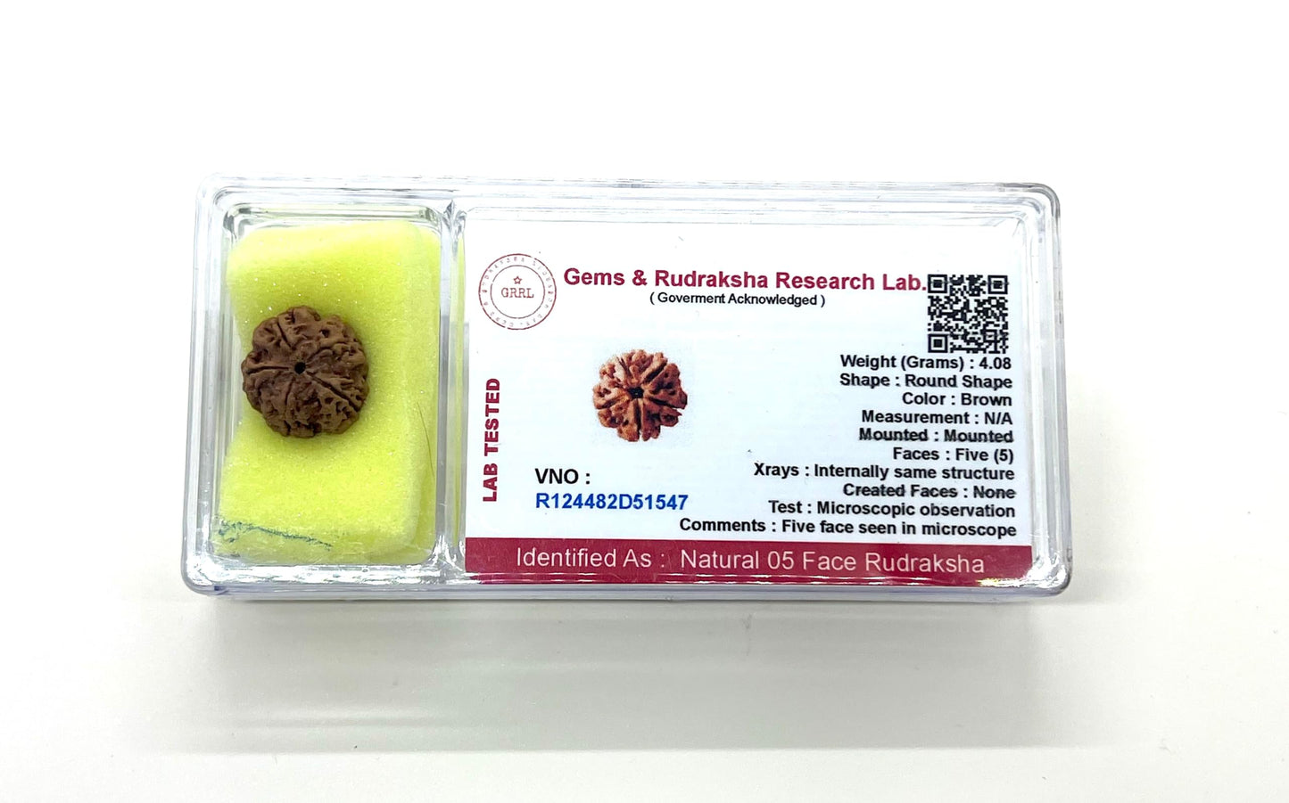 Certified 5 Mukhi (Five Faces) Rudraksha Bead, Sagittarius Sun Sign, Throat Chakra