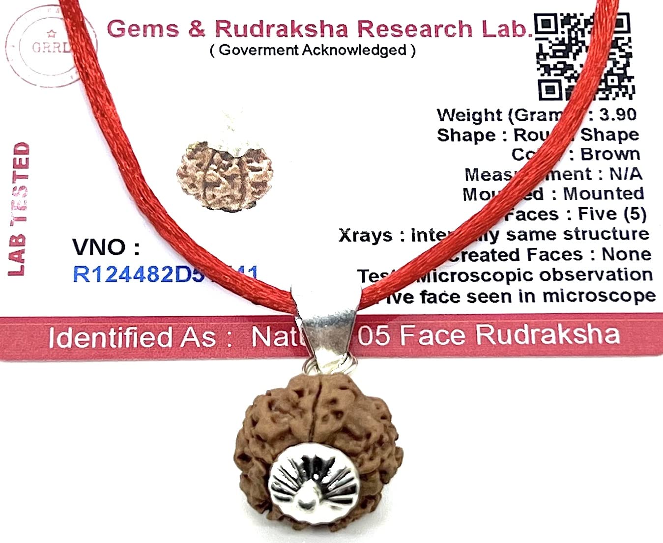 Embrace Balance & Clarity: Certified 5 Mukhi Rudraksha Pendant Necklace - Taurus & Libra Birthstone - Throat Chakra Alignment