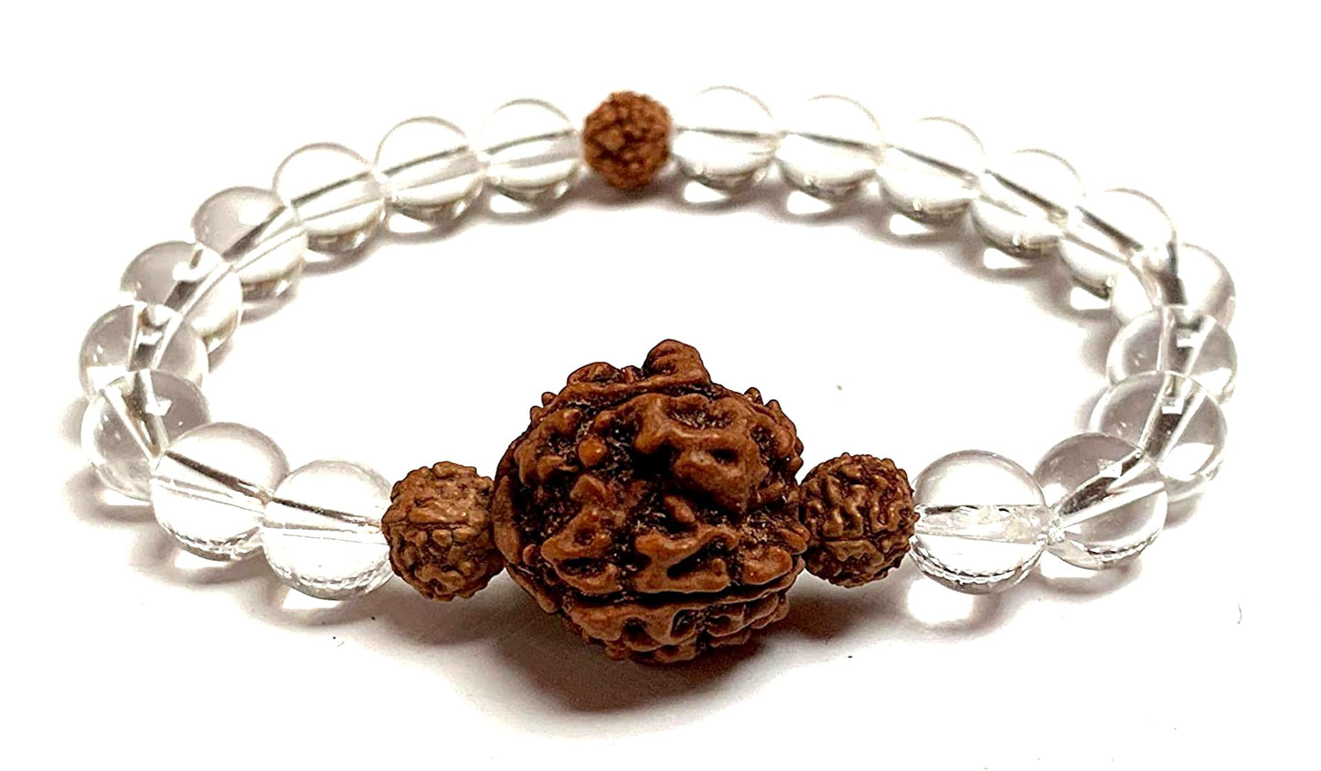 5 Mukhi Rudraksha Rudraksh and Crystal Quartz Stretch Bracelet, Spiritual Healing Jewelry