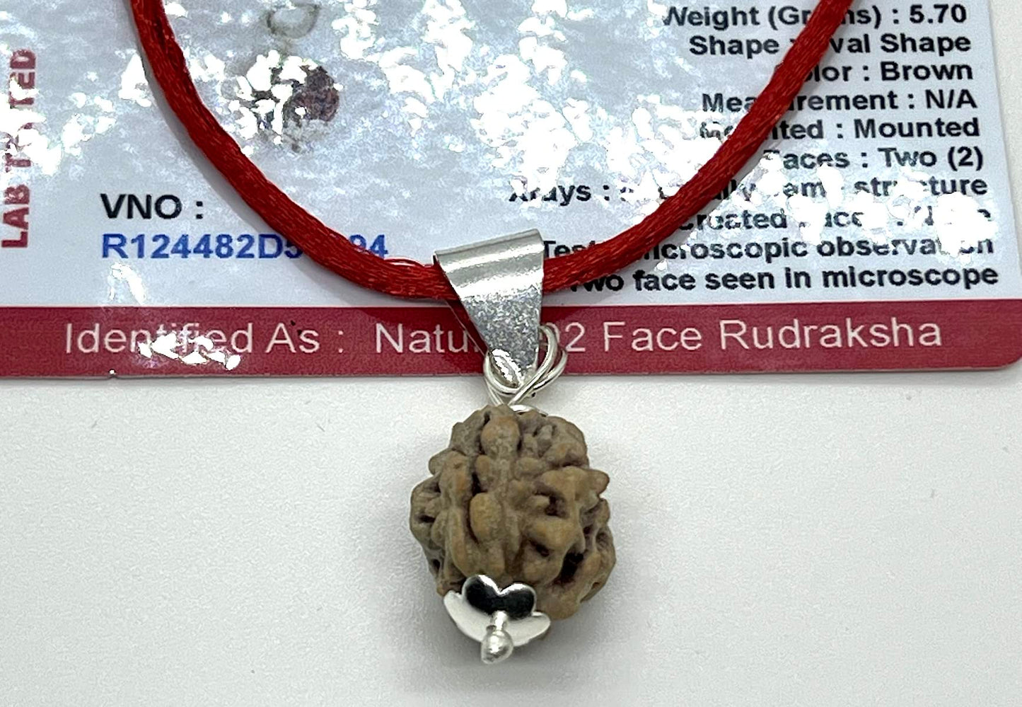 Certified 2 Mukhi Rudraksha Pendant Necklace (Two Faces) - Embrace Balance & Partnership