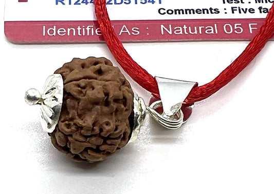 Embrace Balance & Clarity: Certified 5 Mukhi Rudraksha Pendant Necklace - Taurus & Libra Birthstone - Throat Chakra Alignment