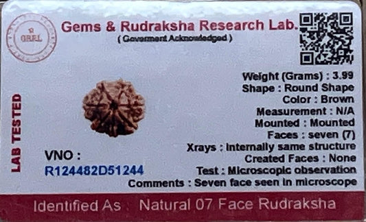 Empowering 7 Mukhi Rudraksha Bead, Universal Sun Sign, Root Chakra
