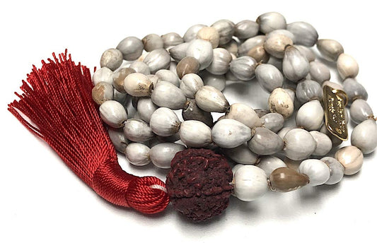 Vijayanti Vaijayanti mala beads necklace - Victory Mala 108 prayer beads for Laxmi Lakshmi Vishnu Krishna pooja puja - 5 mukhi (5 face) Rudraksha Rudraksh Guru bead - Awaken - w/Velvet Rosary pouch