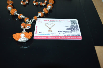 Certified 1 to 14 Mukhi Sidha Rudraksh mala Beads necklace - Sterling Silver - Genuine natural Rudraksha Hand knotted mala