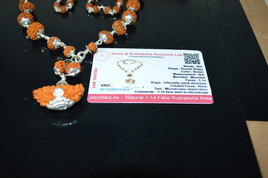 Certified 1 to 14 Mukhi Sidha Rudraksh mala Beads necklace - Sterling Silver - Genuine natural Rudraksha Hand knotted mala