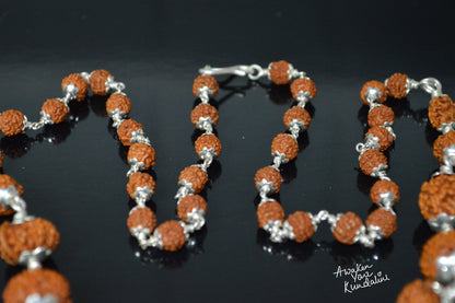 Certified 1 to 14 Mukhi Sidha Rudraksh mala Beads necklace - Sterling Silver - Genuine natural Rudraksha Hand knotted mala